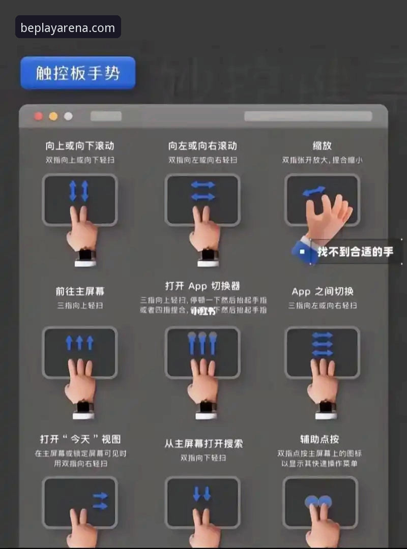 最新beplay官网下载实用指南：新手也能快速上手的操作技巧